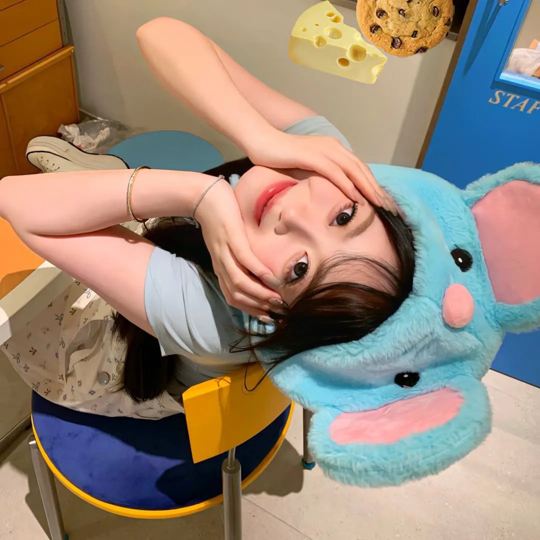 我的“狐朋狗友
